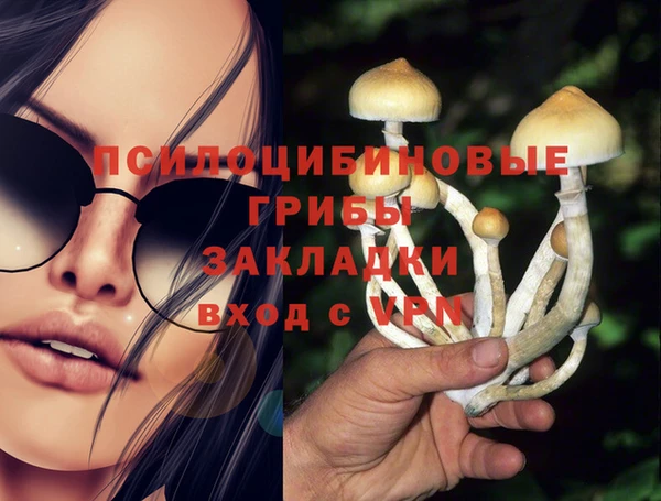 хмурый Богородск