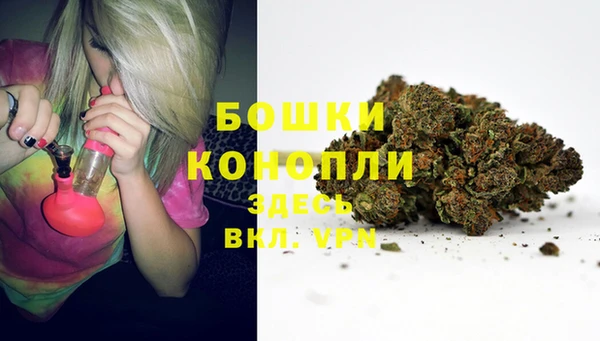 гидропоника Бронницы