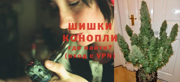 гидропоника Бронницы