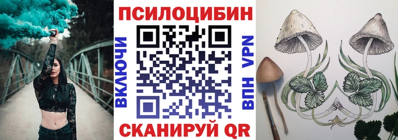 Купить  Лаишево  Псилоцибиновые грибы Psilocybe 