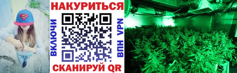 Конопля ГИДРОПОН  Купить где  Лаишево 